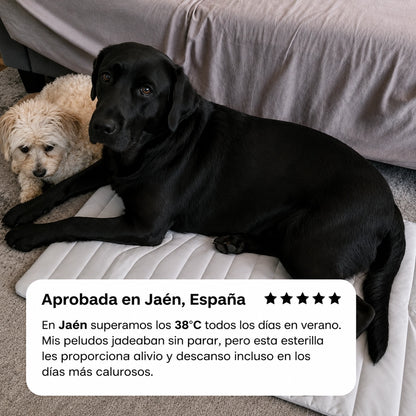 BRISA COOL™ Alfombrilla Refrescante para Perros